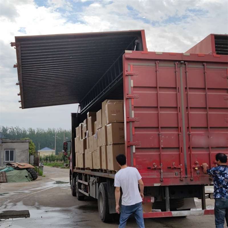 波密县扎囊县：物流专线的高效货运之旅